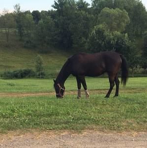 Meet your Posher, Sonia